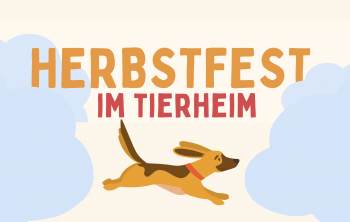 Herbstfest im Tierheim