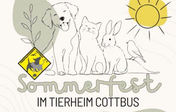 Sommerfest im Tierheim!